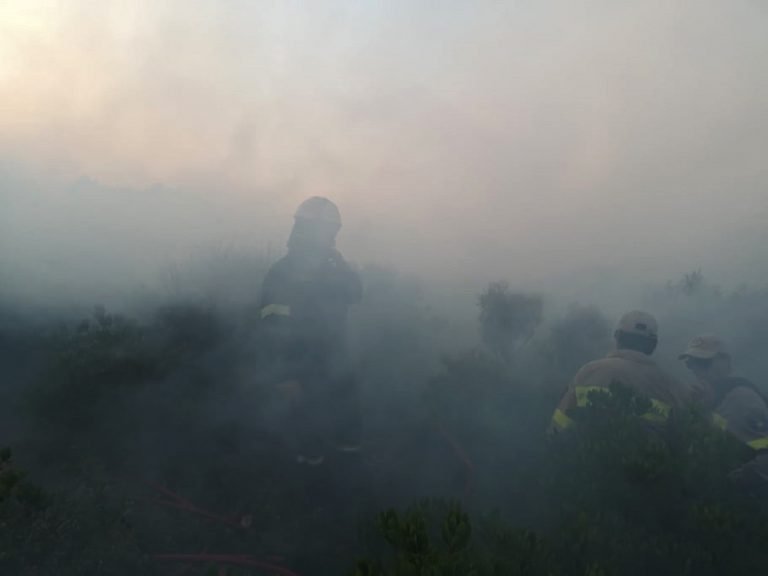 ΦΩΤΟΣΤΙΓΜΕΣ – Η μεγάλη μάχη των πυροσβεστών με τη φωτιά στον Σκοπό – Οι εικόνες τα λένε όλα