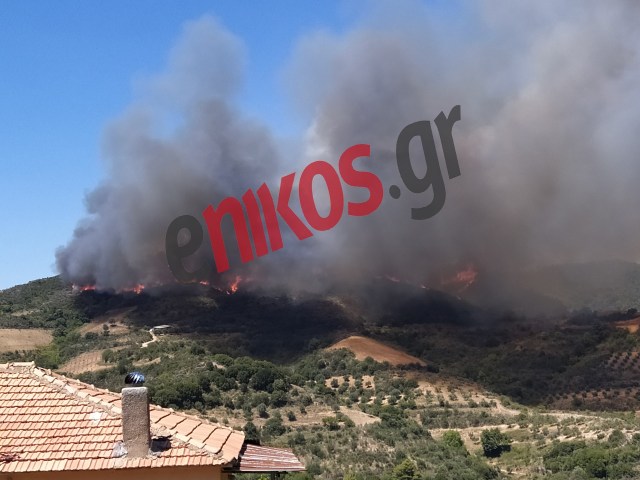 Πυρκαγιά Ηλείας: Δεν απειλείται κατοικημένη περιοχή - Δυνατοι άνεμοι δυσχεραίνουν την πυρόσβεση