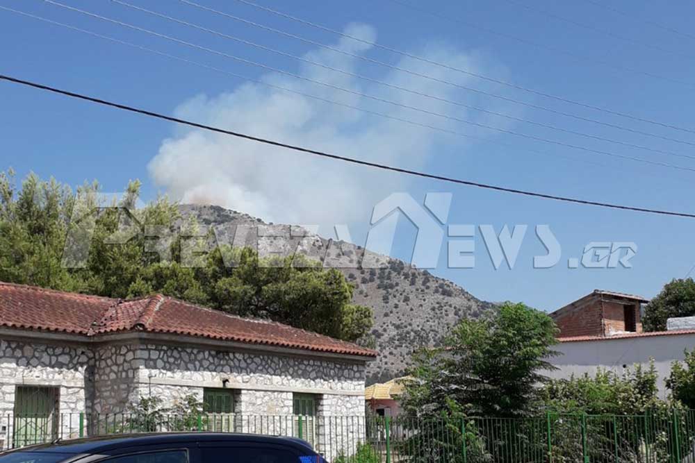 Συμβαίνει τώρα: Πυρκαγιά στο Σκεπαστό Πρέβεζας