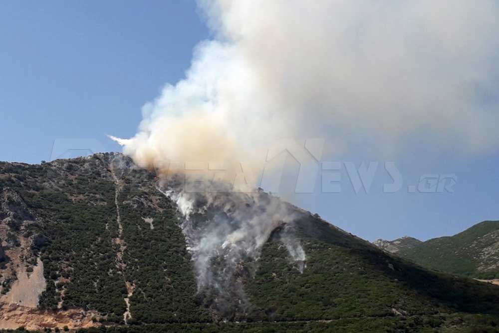 Συμβαίνει τώρα: Πυρκαγιά στο Σκεπαστό Πρέβεζας