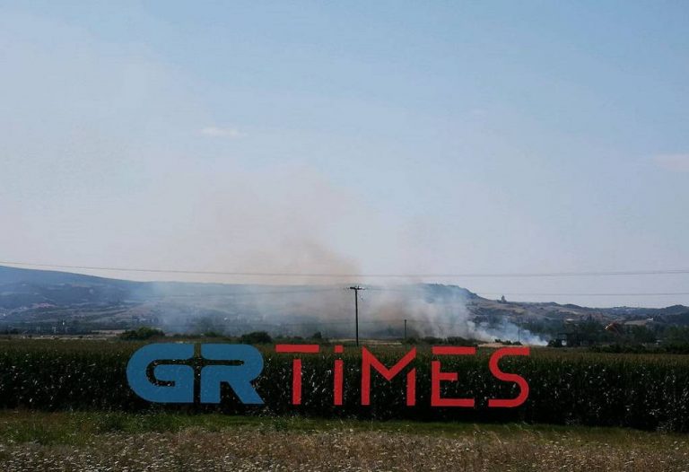 Θεσσαλονίκη: Πυρκαγιά σε ξερά χόρτα πίσω από τη Waterland (ΦΩΤΟ-ΒΙΝΤΕΟ)