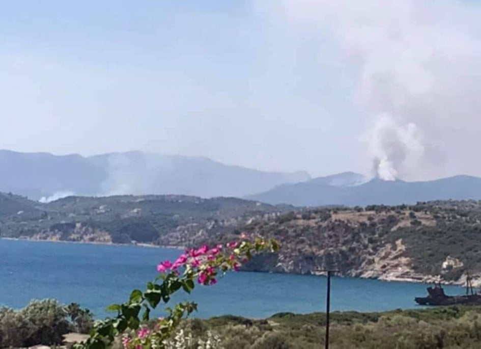 Πυρκαγιά στην Λακωνία - Μάχη με τις αναζωπυρώσεις