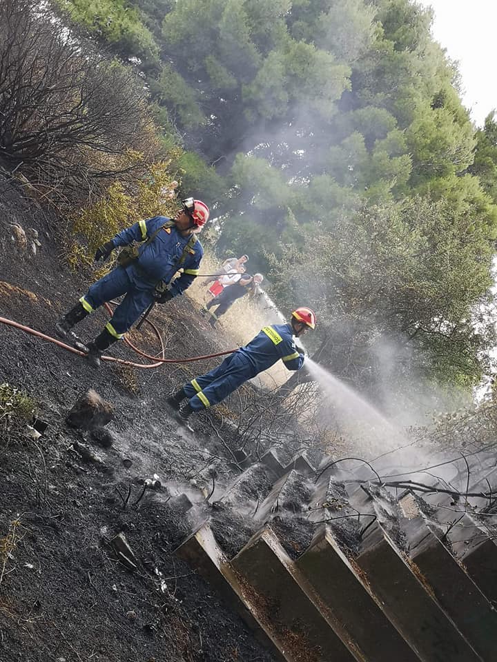 Δυο δασικές πυρκαγιές στο Κρυονέρι Αττικής - Άμεση η κινητοποίηση της Πυροσβεστικής