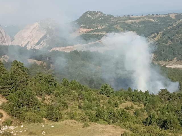 Πυρκαγιά έκαψε δασική έκταση στην Αετιά Γρεβενών (εικόνες)