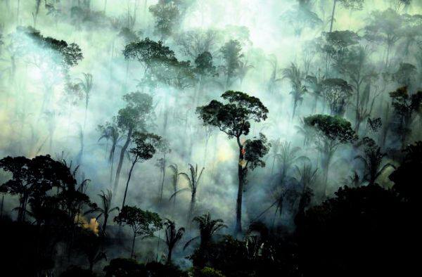 Αμαζόνιος: Συγκλονιστικές εικόνες μετά την μεγάλη πυρκαγιά
