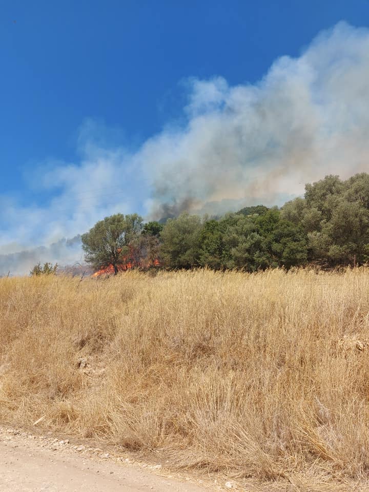 Πυρκαγιά σε δασική έκταση στην περιοχή Πηγάδια Ξηρομέρου Αιτωλοακαρνανίας