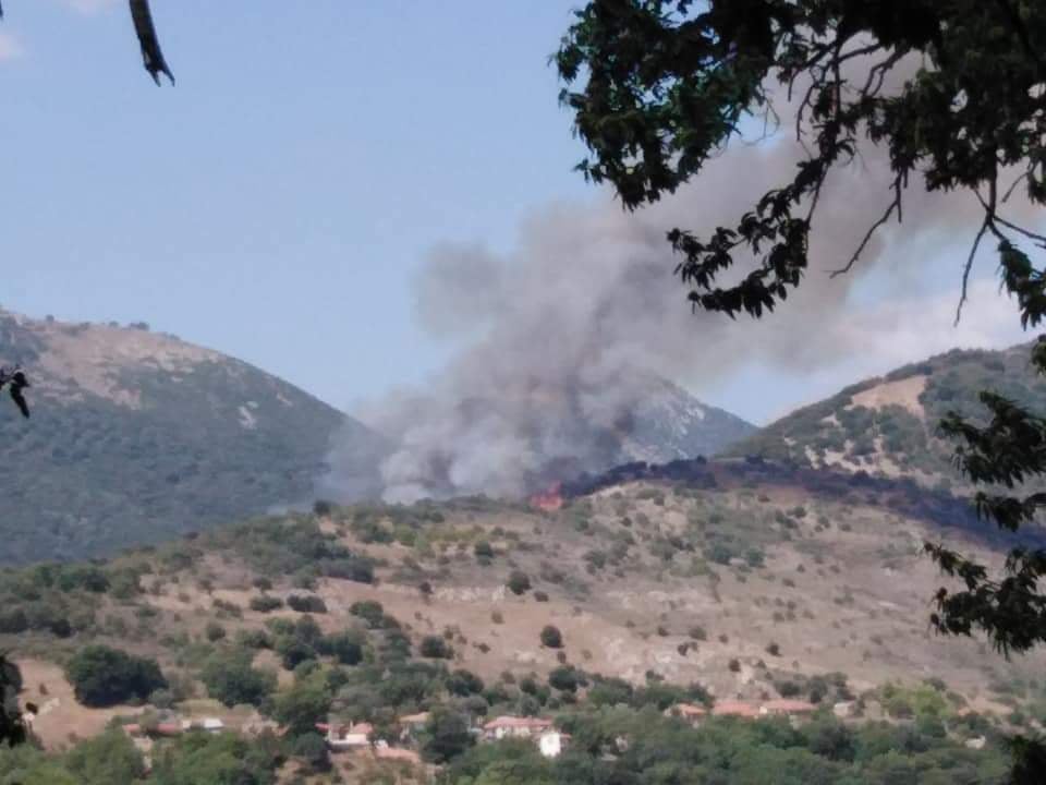 Πυρκαγιά στη Σπαρτουλιά του Δήμου Αρχ. Ολυμπίας
