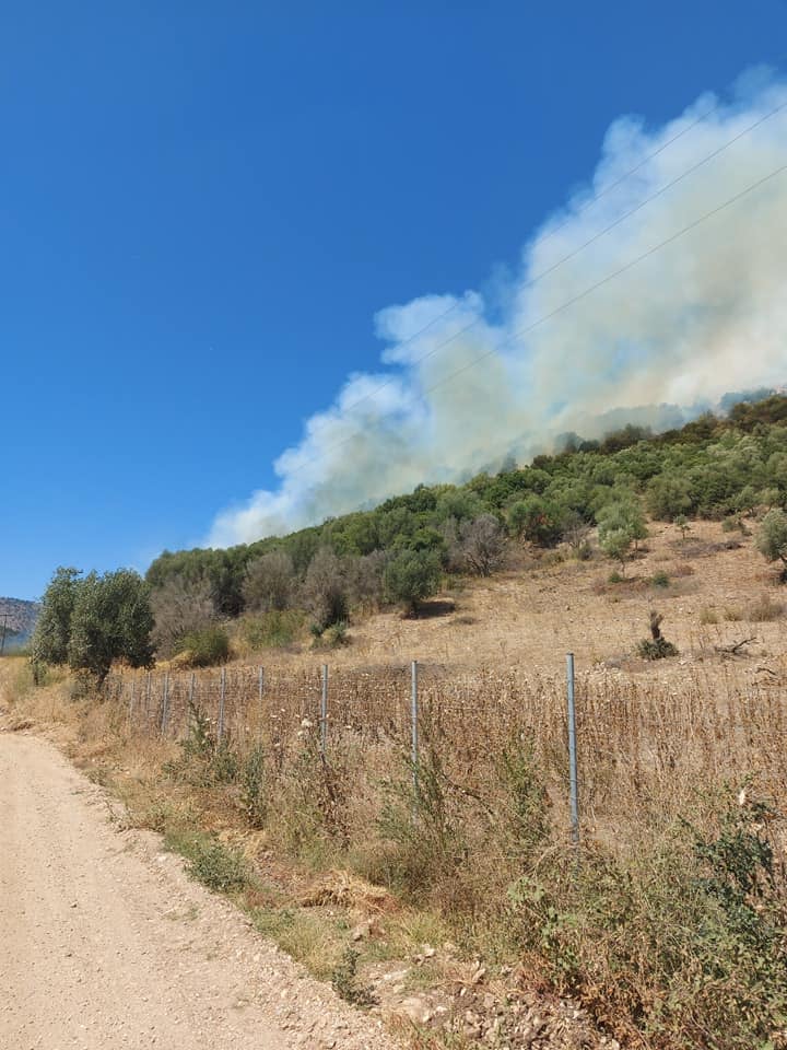 Πυρκαγιά σε δασική έκταση στην περιοχή Πηγάδια Ξηρομέρου Αιτωλοακαρνανίας