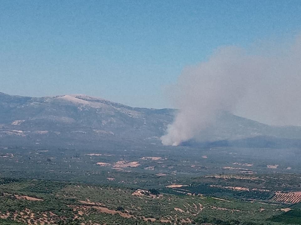 Πυρκαγιά στις παρυφές του Πάρνωνος Λακωνίας (Φώτο)