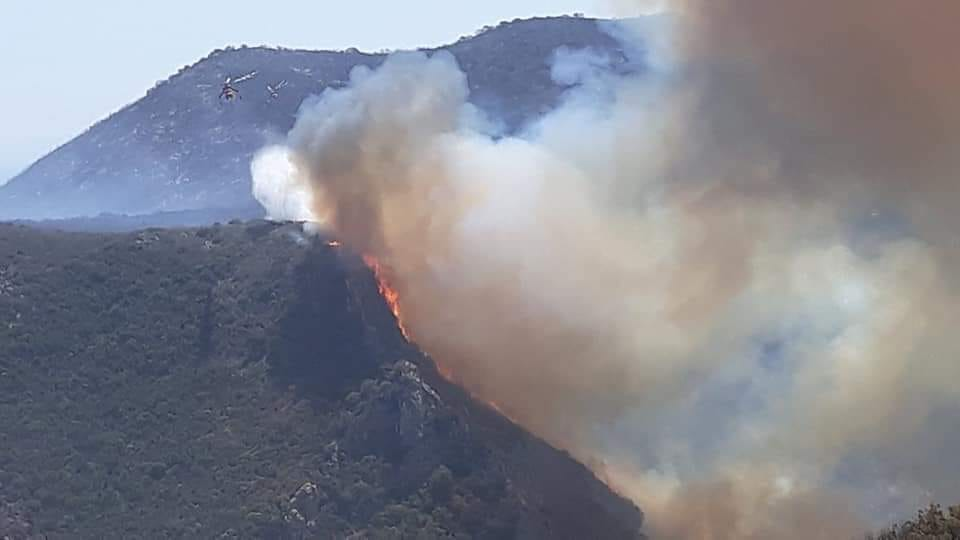 Πυρκαγιά στην Λακωνία - Μάχη με τις αναζωπυρώσεις
