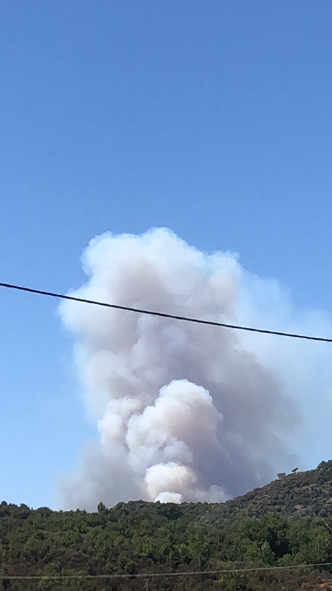 Μεγάλη πυρκαγιά ΤΩΡΑ στην Μαραθέα Λακωνίας (Φώτο)