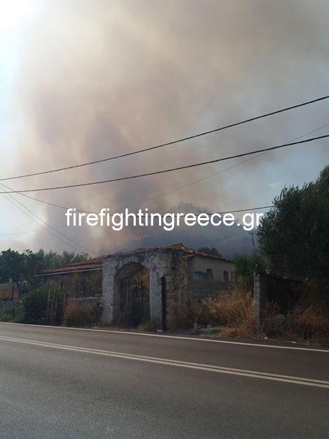 Πυρκαγιά στη Λακωνία - Αναζωπύρωση στην θέση Άγιος Κωνσταντίνος Χωσιαριου (Φώτο)
