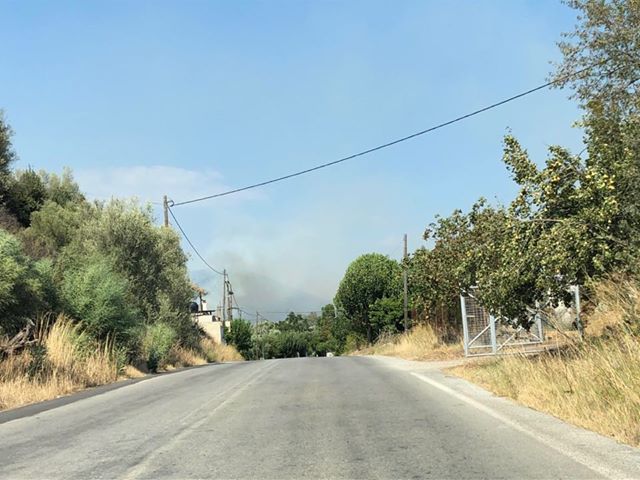 Πυρκαγιά στη Λακωνία - Αναζωπύρωση στην θέση Άγιος Κωνσταντίνος Χωσιαριου (Φώτο)