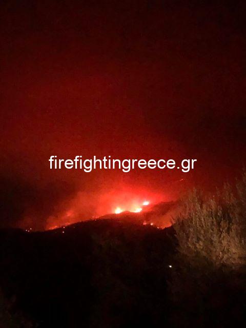 Πυρκαγιά στην Λακωνία - Ολονυχτία μάχη με ενεργά μέτωπα
