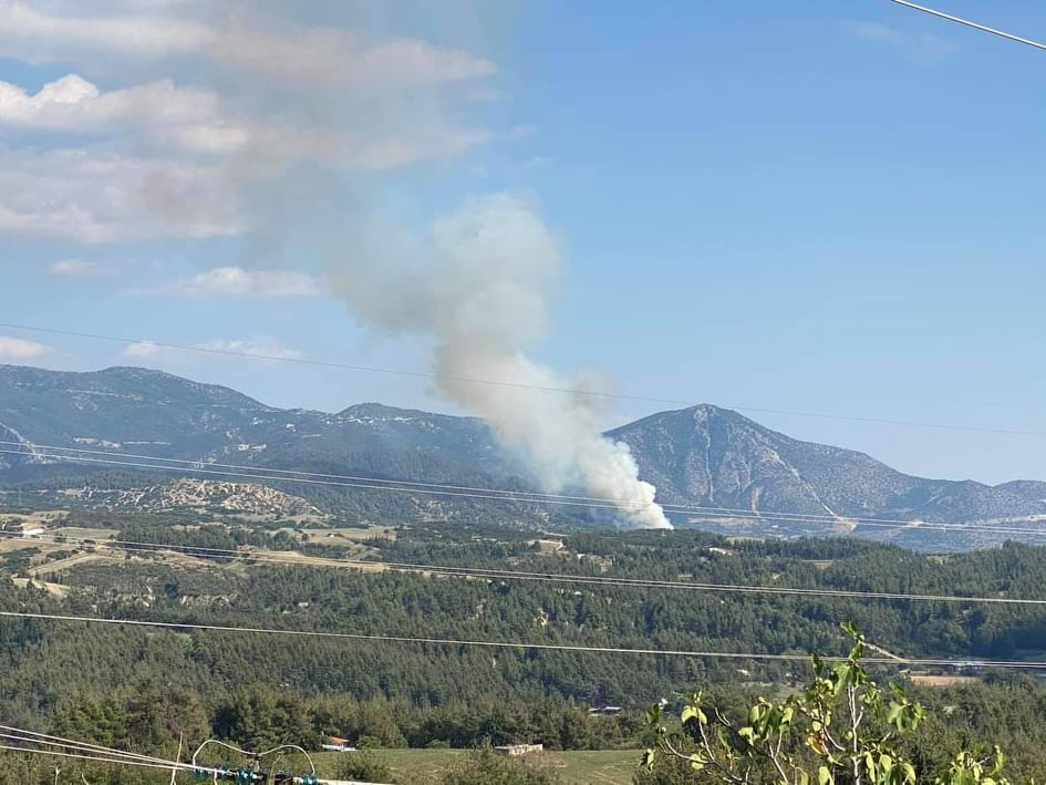 Πυρκαγιά σε δασική έκταση στην Ελασσόνα Λάρισας