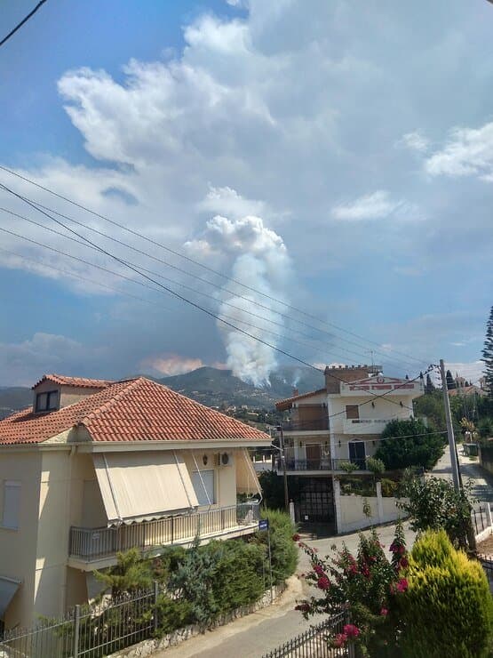 Πυρκαγιά σε δασική έκταση στην περιοχή Άνω Καλλιθέα Αχαΐας