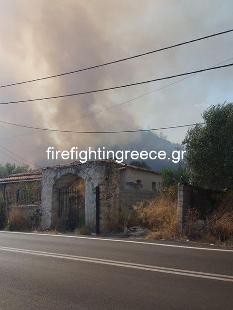 Πυρκαγιά στη Λακωνία - Αναζωπύρωση στην θέση Άγιος Κωνσταντίνος Χωσιαριου (Φώτο)