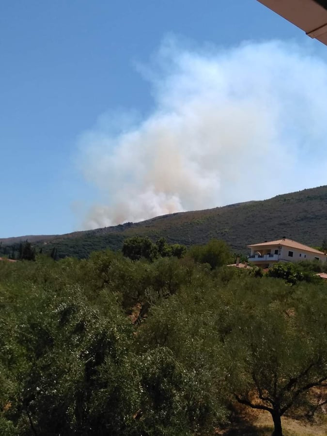 Πυρκαγιά στην περιοχή Λαγκαδάκια Ζακύνθου (Φώτο)