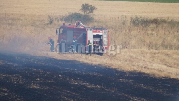 Πυρκαγιά στον κάμπο της Λαμίας (Φωτογραφίες)