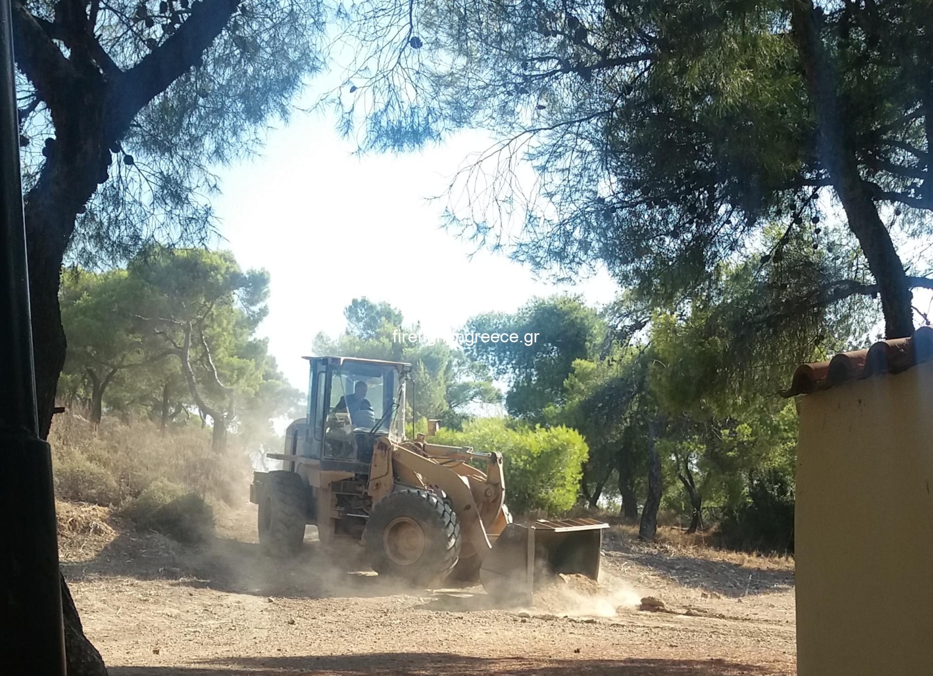 Πολιτική Προστασία Βάρης Βούλας βουλιαγμένης: Διάνοιξης και καθαρισμός δασικών δρόμων