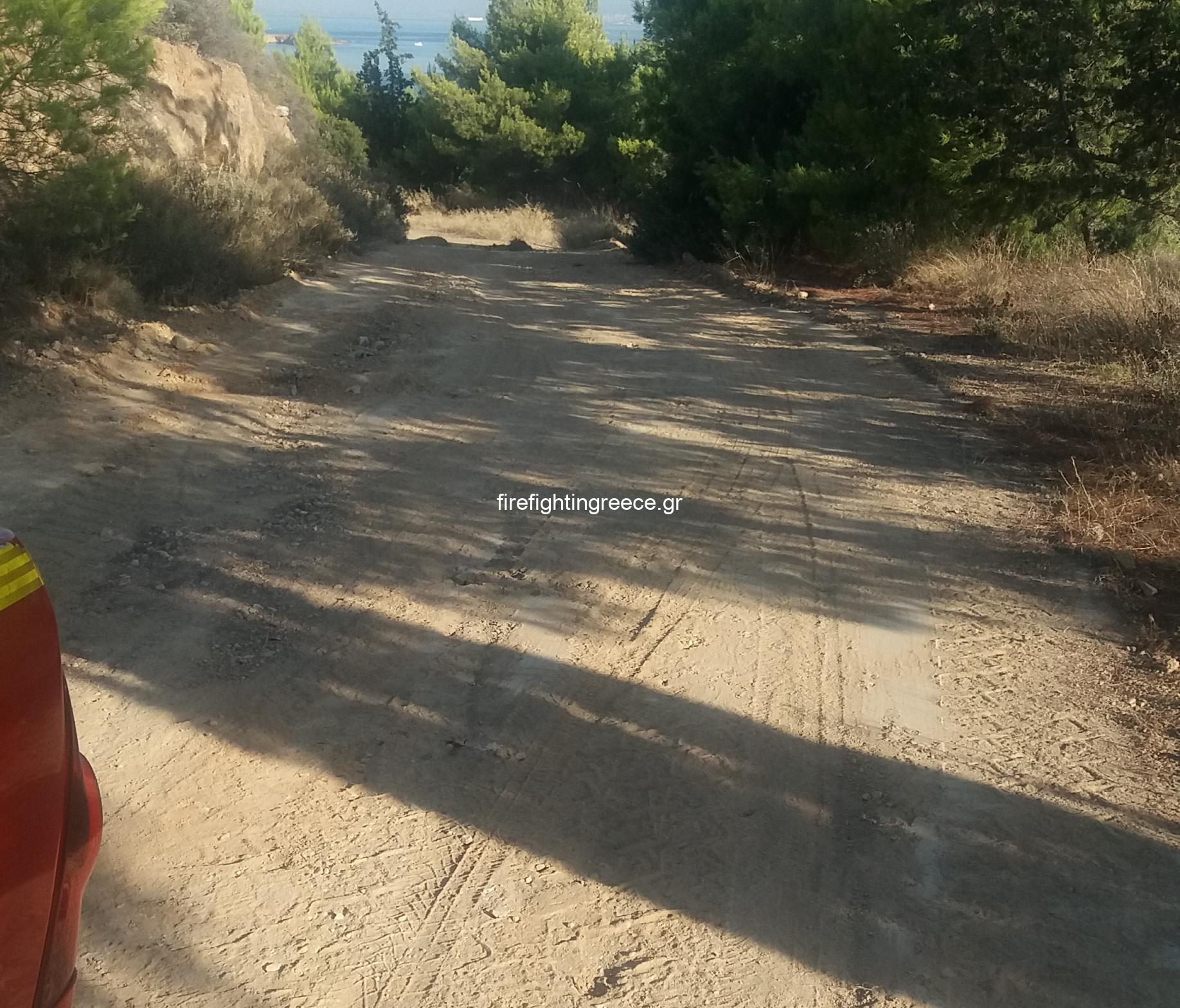 Πολιτική Προστασία Βάρης Βούλας βουλιαγμένης: Διάνοιξης και καθαρισμός δασικών δρόμων