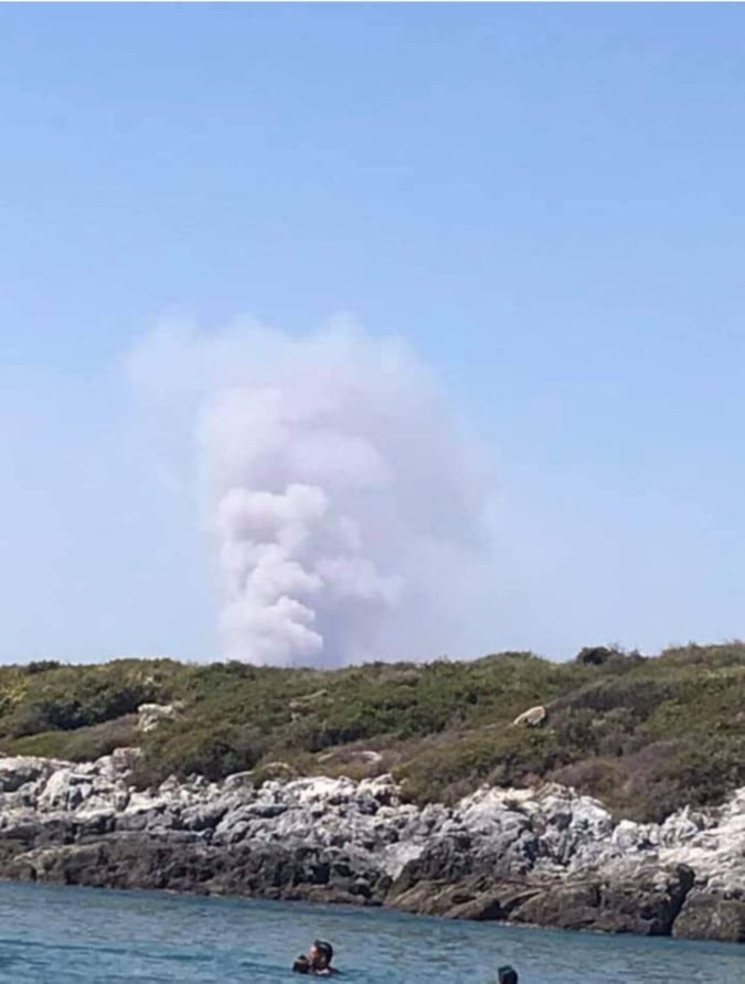 Πυρκαγιά στην Λακωνία - Μάχη με τις αναζωπυρώσεις