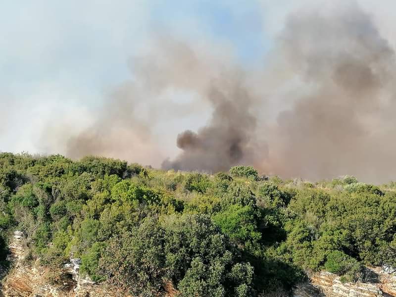 Κέρκυρα: Πυρκαγιά τώρα στον Άγιο Στέφανο – Ερημίτης