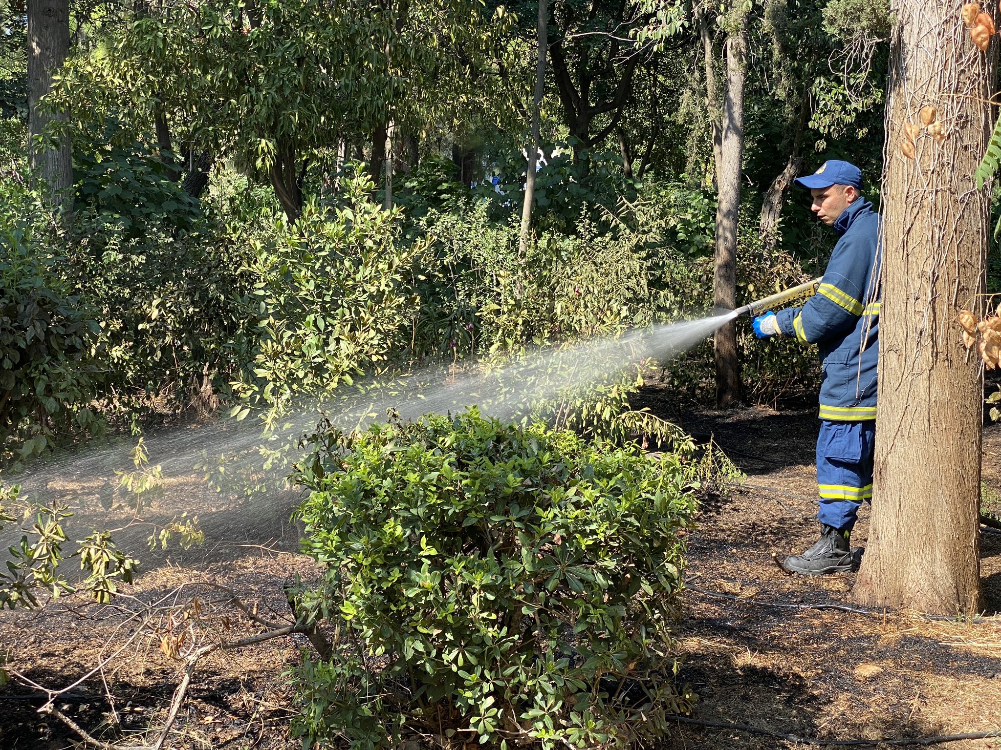 Βρέθηκαν 8 εμπρηστικοί μηχανισμοί μέσα στο Πεδίο του Άρεως.(φωτο)