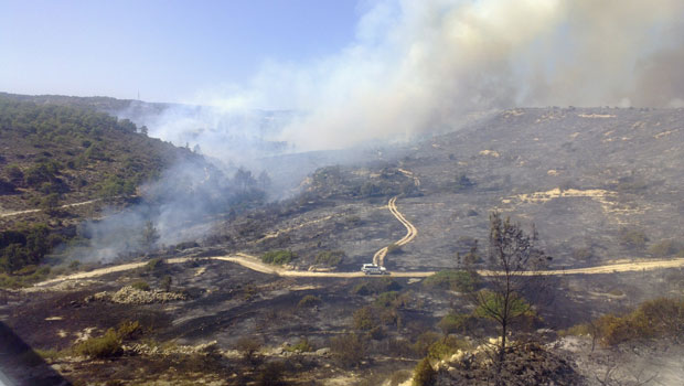 ΕΚΤΑΚΤΟ: Σε εξέλιξη πυρκαγιά στο Δάσος της Πάφου… 3 εστίες εκδηλώθηκαν σχεδόν ταυτόχρονα