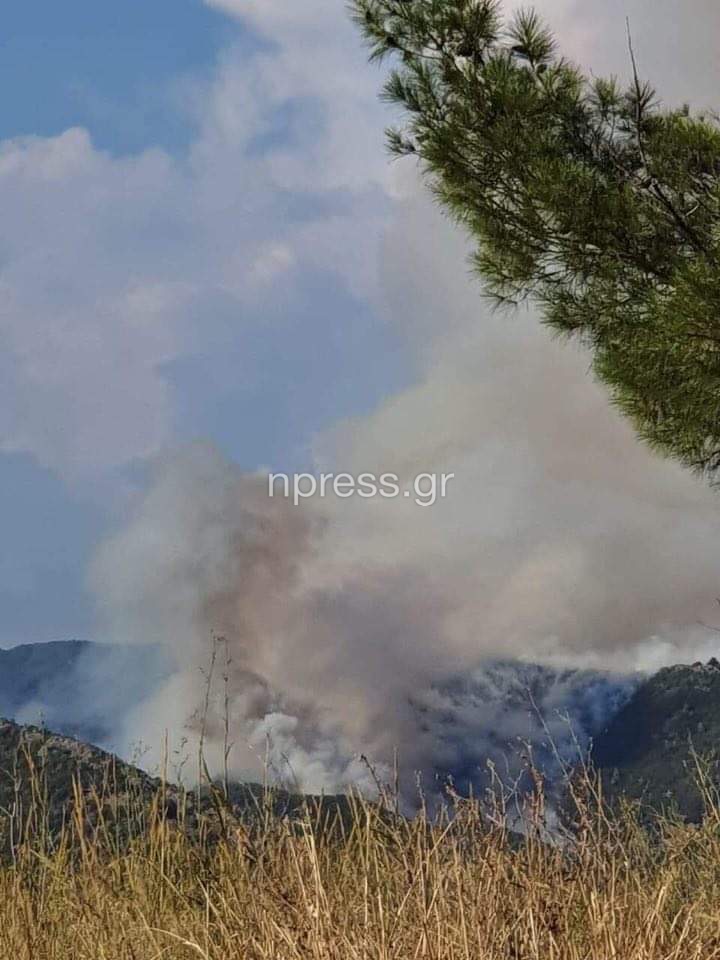 Πυρκαγιά στην περιοχή Παραδείσι Αγρινίου
