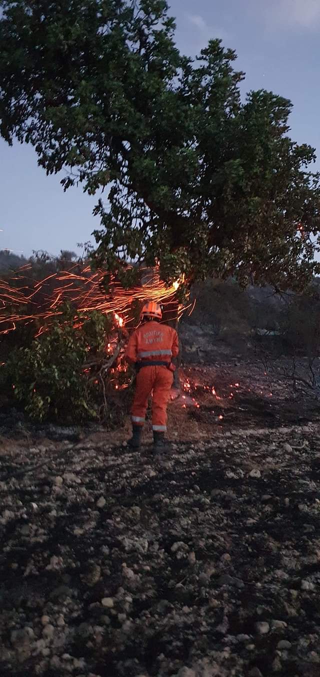 Κυπριακή δημοκρατία πολιτικής άμυνας.(φωτο)