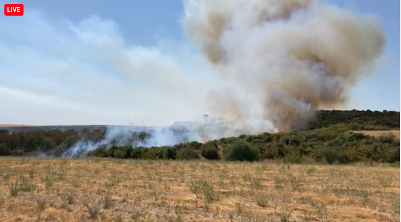 Πυρκαγιά ΤΩΡΑ στην Αλεξανδρούπολη