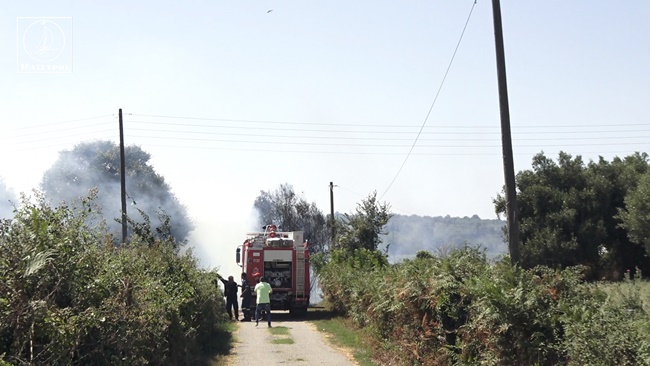 Πυρκαγιά στον Κάμπο Αμπελακίου στην Αμφιλοχία – Κινδύνεψαν κατοικίες