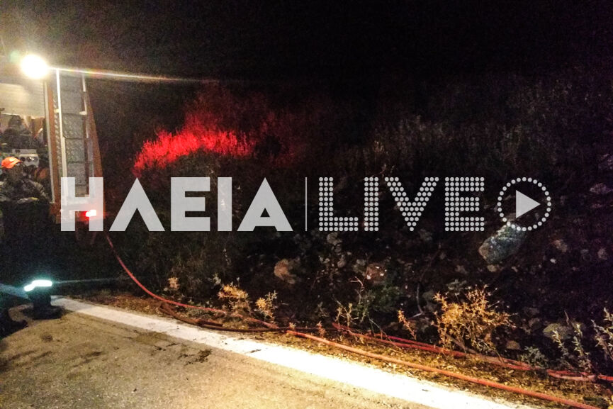 Νέα νυχτερινή πυρκαγιά στη Λασιώνα - Άμεσα αντιμετωπίστηκε από την Πυροσβεστική