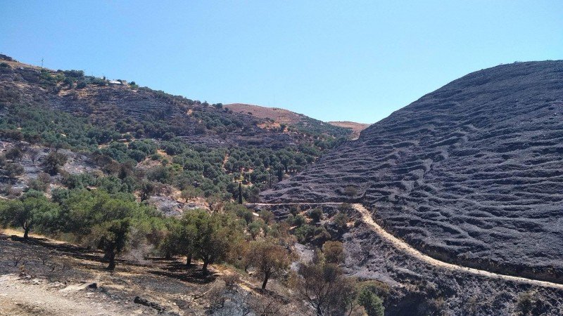 Κρανίου τόπος το δυτικό Σέλινο στα Χανιά, μετά την πυρκαγιά (φωτο)