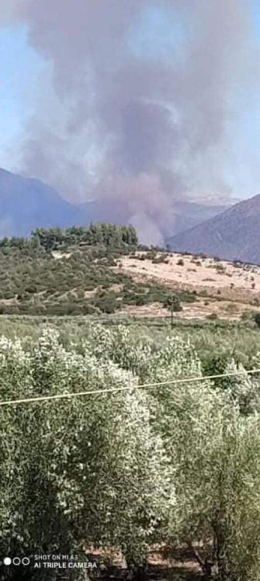 ΤΩΡΑ: πυρκαγιά στις Μυκήνες