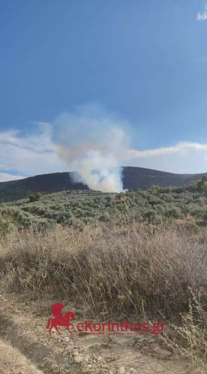 Πυρκαγιά στο Γαλατάκι Κορινθίας