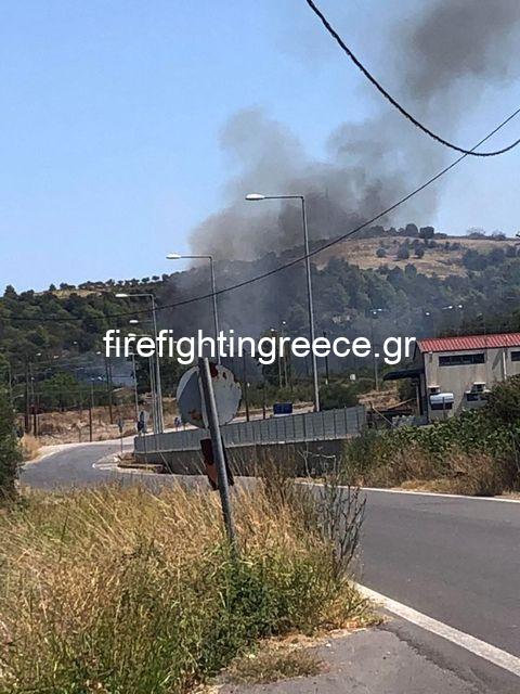 Πυρκαγιά στο Γύθειο Λακωνίας (Φώτο)