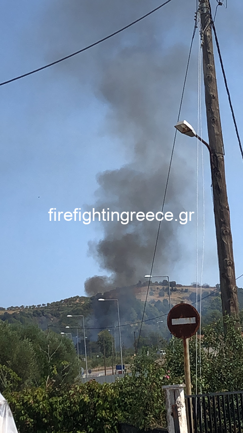 Πυρκαγιά στο Γύθειο Λακωνίας (Φώτο)