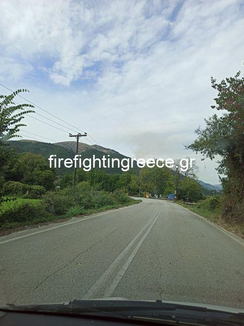 Πυρκαγιά στο Πλαίσιο Φιλιατών στο Νομό Θεσπρωτίας (Φωτος)