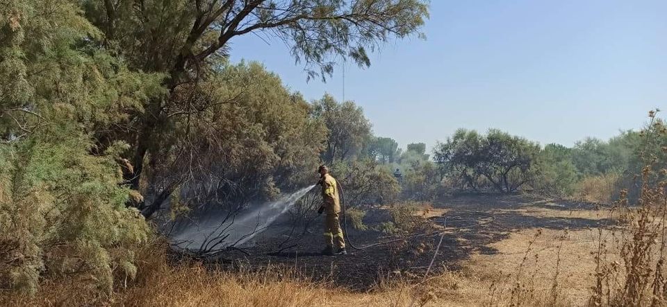 Πυρκαγιά στην περιοχή περιοχή Ριζάρι στο Σχινιά Μαραθώνα