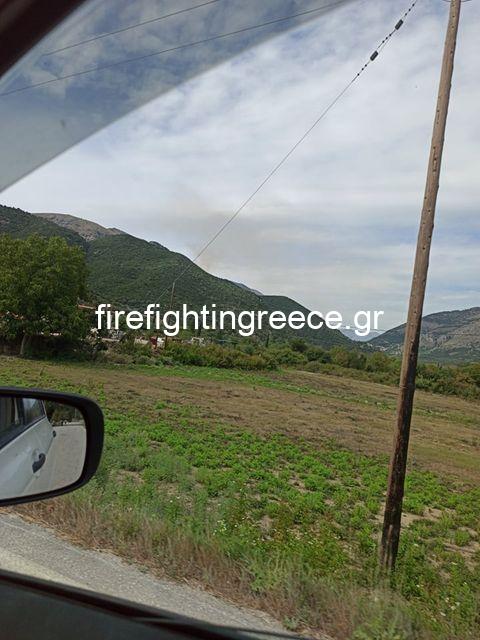 Πυρκαγιά στο Πλαίσιο Φιλιατών στο Νομό Θεσπρωτίας (Φωτος)