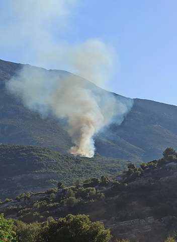 Σε εξέλιξη πυρκαγιά σε δασική έκταση στη Νεμέα Κορινθίας (Φώτο)