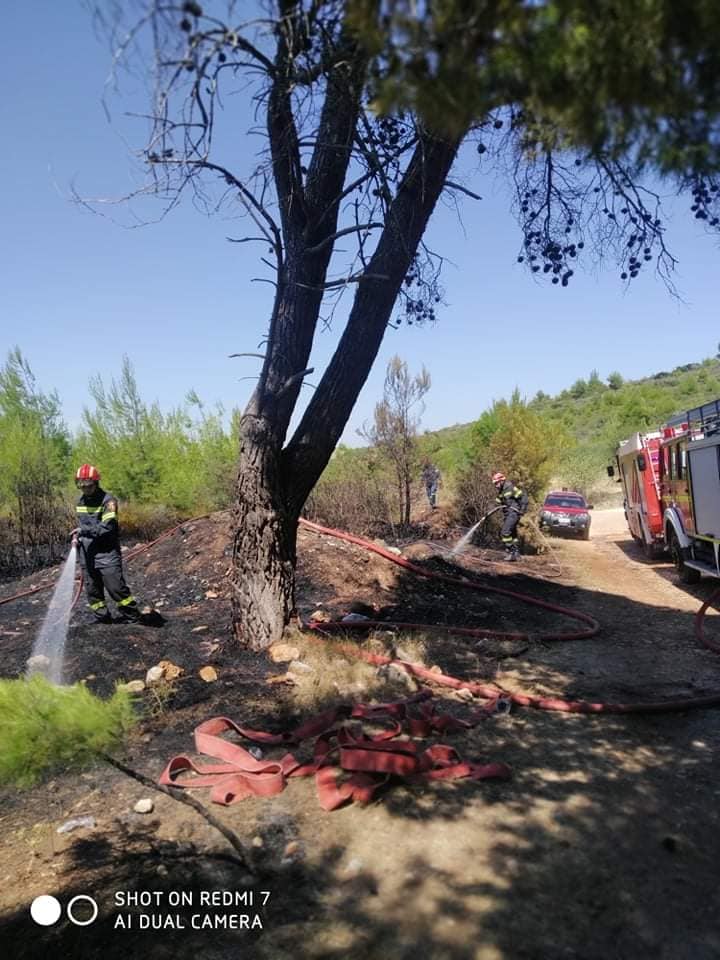 Φωτογραφικό υλικό από την πυρκαγιά στην Αγία Τριάδα Αγίου Στεφάνου