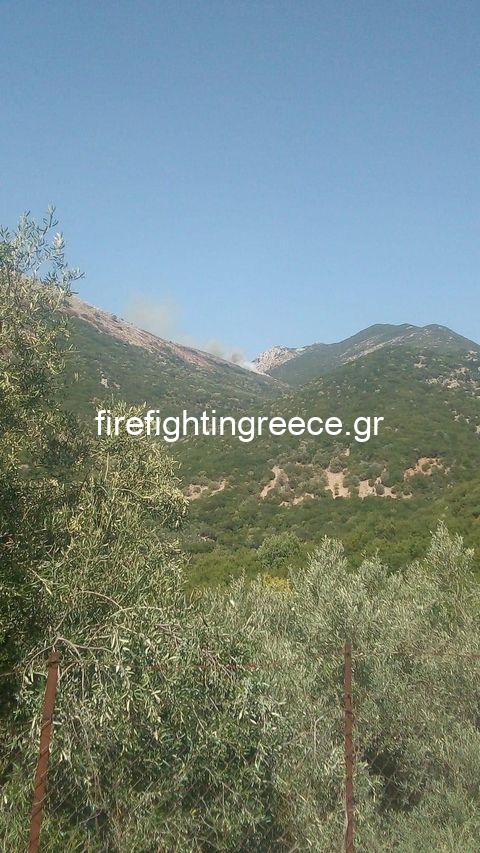 Πυρκαγιά στην Κορίτιανη Θεσπρωτίας (Φώτο)