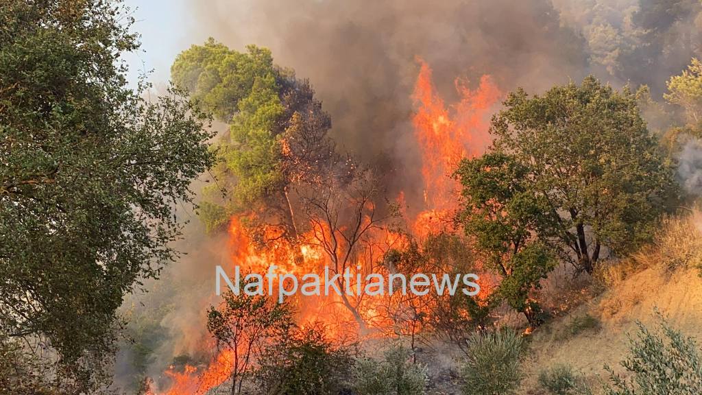 Πυρκαγιά στο Τρίκορφο Ναυπακτίας - Μεγάλη κινητοποίηση της πυροσβεστικής