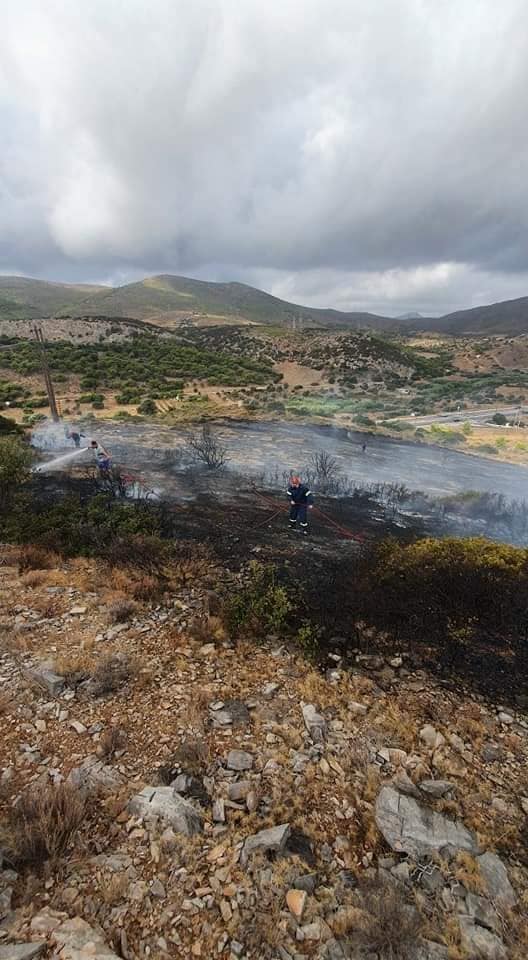 Πυρκαγιά στο Περιγιάλι Κερατέας (Φώτο)