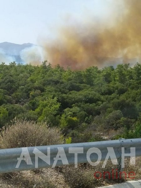 Μεγάλη πυρκαγιά σε δασική έκταση στο Βαθύ Αγ. Νικολάου..