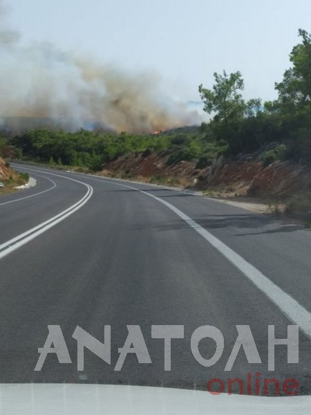 Μεγάλη πυρκαγιά σε δασική έκταση στο Βαθύ Αγ. Νικολάου..