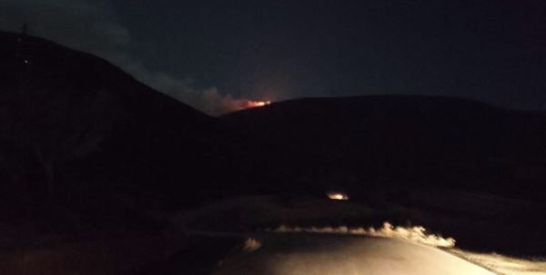 Λάρισα: Δασική πυρκαγιά στα Φάρσαλα